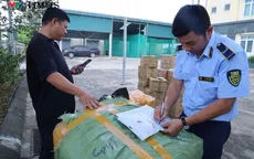 Thanh Hóa: Lô hàng 'khủng' không rõ chủ, khẩn trương truy tìm
