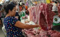 Giá lợn hơi vẫn neo ở vùng giá cao