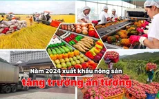 Tuân thủ tiêu chuẩn để giữ uy tín nông sản