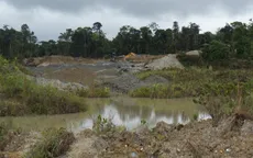 Tỷ lệ phá rừng Amazon ở Colombia giảm thấp nhất trong hơn hai thập kỷ