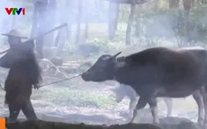 Trải nghiệm du lịch hoài niệm để tìm về ký ức