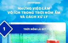 INFOGRAPHIC: Những việc làm vô ích trong trời nồm ẩm và cách xử lý