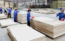 Mỹ vẫn là thị trường hứa hẹn của ngành gỗ năm 2025
