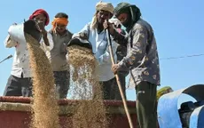 Ấn Độ dỡ bỏ lệnh cấm xuất khẩu gạo 100% tấm