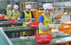 Lao động Việt Nam tại Hàn Quốc có cơ hội hưởng lương hưu