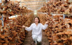 Nữ giám đốc thành công với bí quyết “3 trong 1”