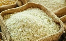 Nhật Bản mở phiên đấu thầu gạo đầu tiên trong năm 2025