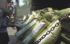 Tác động của việc Ấn Độ dỡ lệnh cấm xuất khẩu gạo