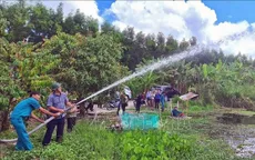 Hơn 1/3 diện tích rừng Cà Mau báo động cháy ở mức cao