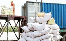 Ấn Độ dỡ bỏ lệnh cấm xuất khẩu, gạo Việt có chịu tác động?
