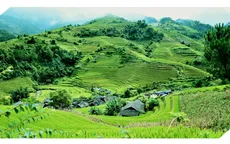 Nông nghiệp xanh
