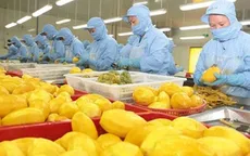 Mỹ là thị trường mua rau quả lớn thứ hai của Việt Nam