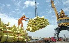 Thị trường gạo sẽ có thêm tín hiệu tích cực