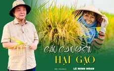 Câu chuyện hạt gạo