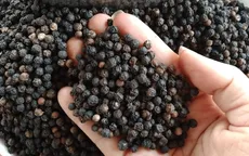 Giá xuất khẩu nhiều nông sản tăng