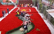 Lòng tự hào dân tộc và bài học cho các thương hiệu