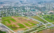Xử phạt nghiêm những trường hợp bỏ cọc sau khi trúng đấu giá đất