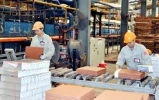 Khu vực tư nhân - Động lực để kinh tế Việt Nam cất cánh