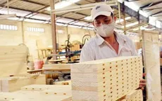 Ngành gỗ đề xuất giải pháp cân bằng thương mại Việt Nam - Hoa Kỳ