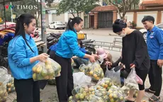 Tuổi trẻ Nghệ An “giải cứu” quýt PQ cho người dân