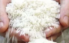 Giá gạo Thái Lan thấp nhất trong hơn hai năm