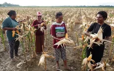 Indonesia thông qua gói ngân sách 7,1 tỷ USD đảm bảo an ninh lương thực