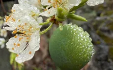 Những việc làm thu hút tài lộc ngày mùng 1 tháng 3 âm lịch