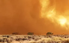 Cháy rừng lan rộng ở California, đe dọa các cây lâu đời nhất thế giới