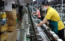 Đồng loạt điều tra doanh nghiệp năm 2025 trên cả nước