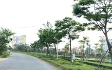 Quảng Bình: Đã khởi tố 22 bị can liên quan đến Công ty cây xanh Công Minh
