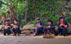 Đến Thái Nguyên để "trải nghiệm xứ Trà đậm đà bản sắc"