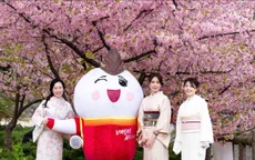 Bay cùng Vietjet và Amy đến xứ sở mặt trời mọc, tham gia lễ hội hoa anh đào rực rỡ