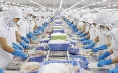 Lô hàng lớn thủy sản Việt xuất sang Mỹ