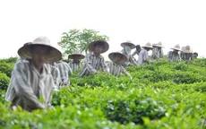 Đề xuất công an xã quản lý người bị phạt tù cải tạo không giam giữ