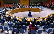 Hội đồng Bảo an Liên hợp quốc họp về Ukraine
