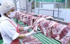 Nhập khẩu thịt không ảnh hưởng giá lợn trong nước
