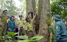 Tuyên Quang quyết liệt trong phòng chống cháy, chữa cháy rừng