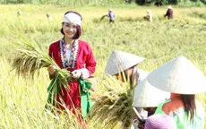 Thanh Hóa: Hồi sinh một triền đồi và giấc mơ bền vững của cô gái Thổ