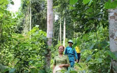 Giá trị từ rừng ở Sơn La: Hiệu quả của nguồn thu dịch vụ môi trường