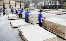 Doanh nghiệp tận dụng “thời gian vàng” tìm hướng đi xuất khẩu