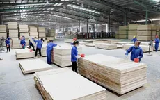 Đa dạng hỗ trợ doanh nghiệp ứng phó với thuế quan