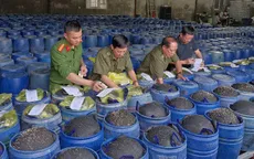 Phát hiện đường dây sản xuất 3.500 tấn giá đỗ ngâm "nước kẹo"