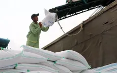 Việt Nam còn dư địa để tăng xuất khẩu gạo
