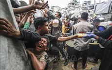 Liên hợp quốc hết thực phẩm cứu trợ cho Dải Gaza