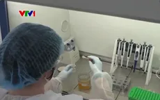 Áo xét nghiệm ADN để phát hiện mật ong giả