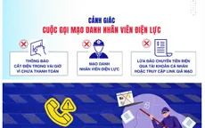 Gia Lai: Giả nhân viên điện lực, lừa đảo hàng trăm triệu đồng