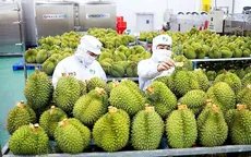 Tín hiệu tích cực từ thị trường xuất khẩu nông lâm thủy sản