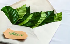 Định nghĩa lại “rác” để tái chế thành giấy