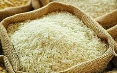 Dự trữ gạo của Indonesia đạt mức cao kỷ lục