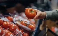 FDA Mỹ thu hồi cà chua ở 14 tiểu bang do nguy cơ nhiễm khuẩn Salmonella